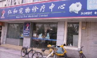 网上宠物医院咨询